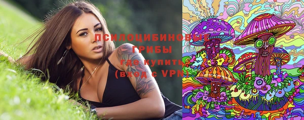 мяу мяу мука Богородицк