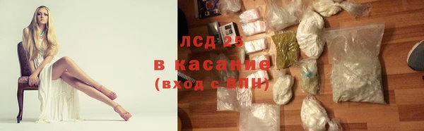 mdpv Бородино