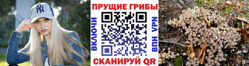 Галлюциногенные грибы ЛСД  Королёв 